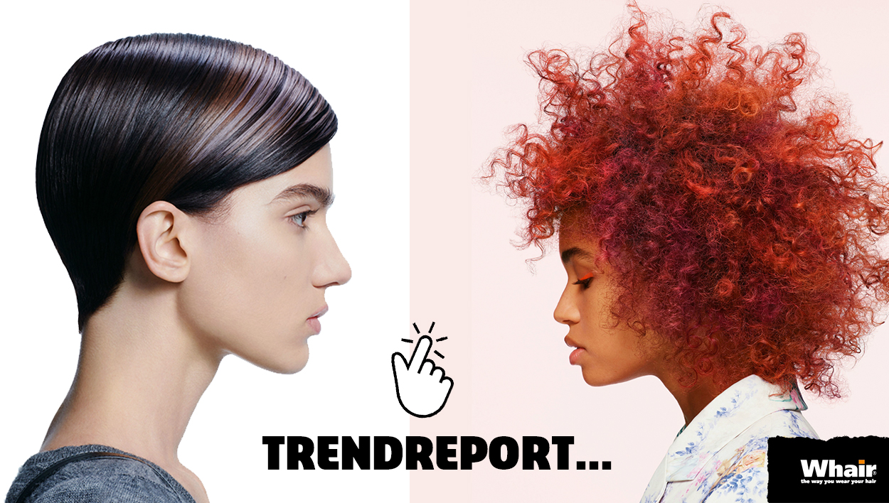Whair Kappers Trend Report ESSENTIAL Looks